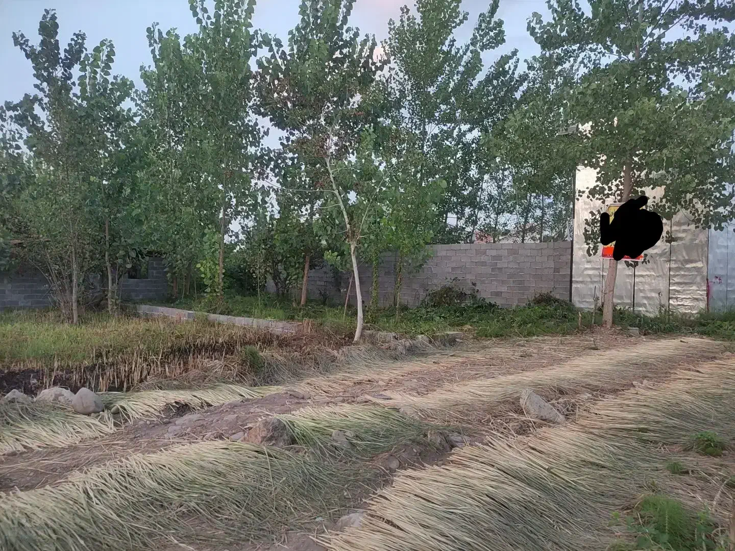 زمین سند دار