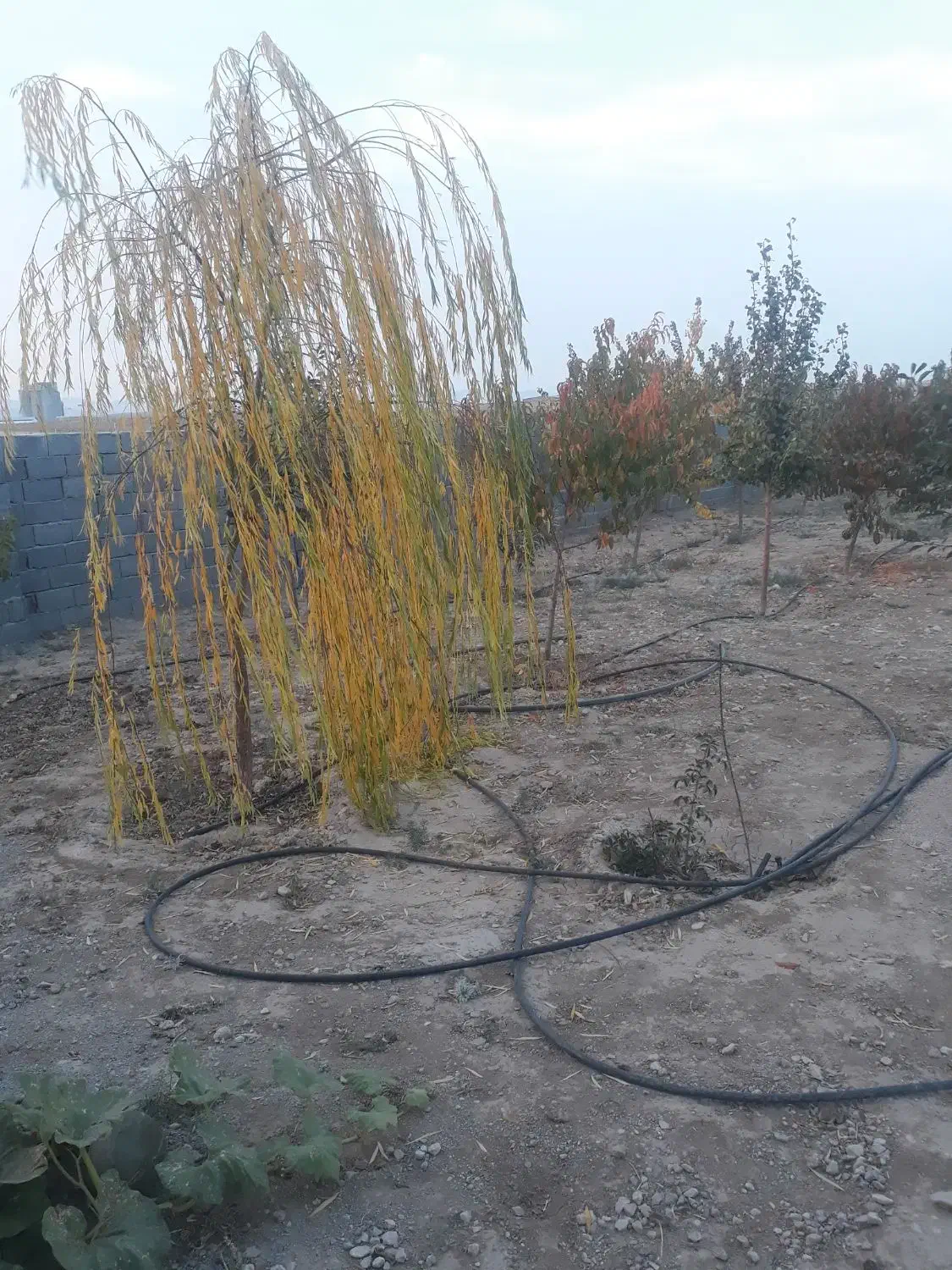 روستای خوشمنظر سمت راست