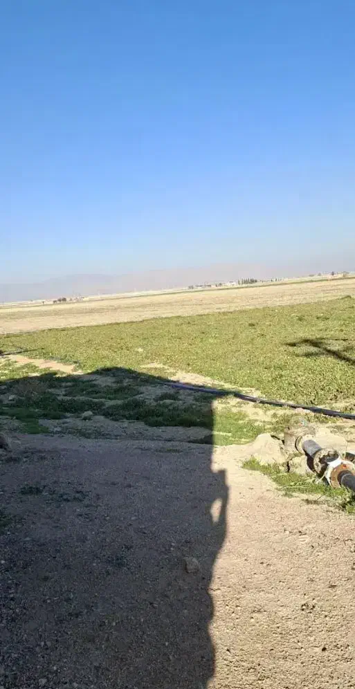 اجاره یانصف کاری زمین کشاورزی