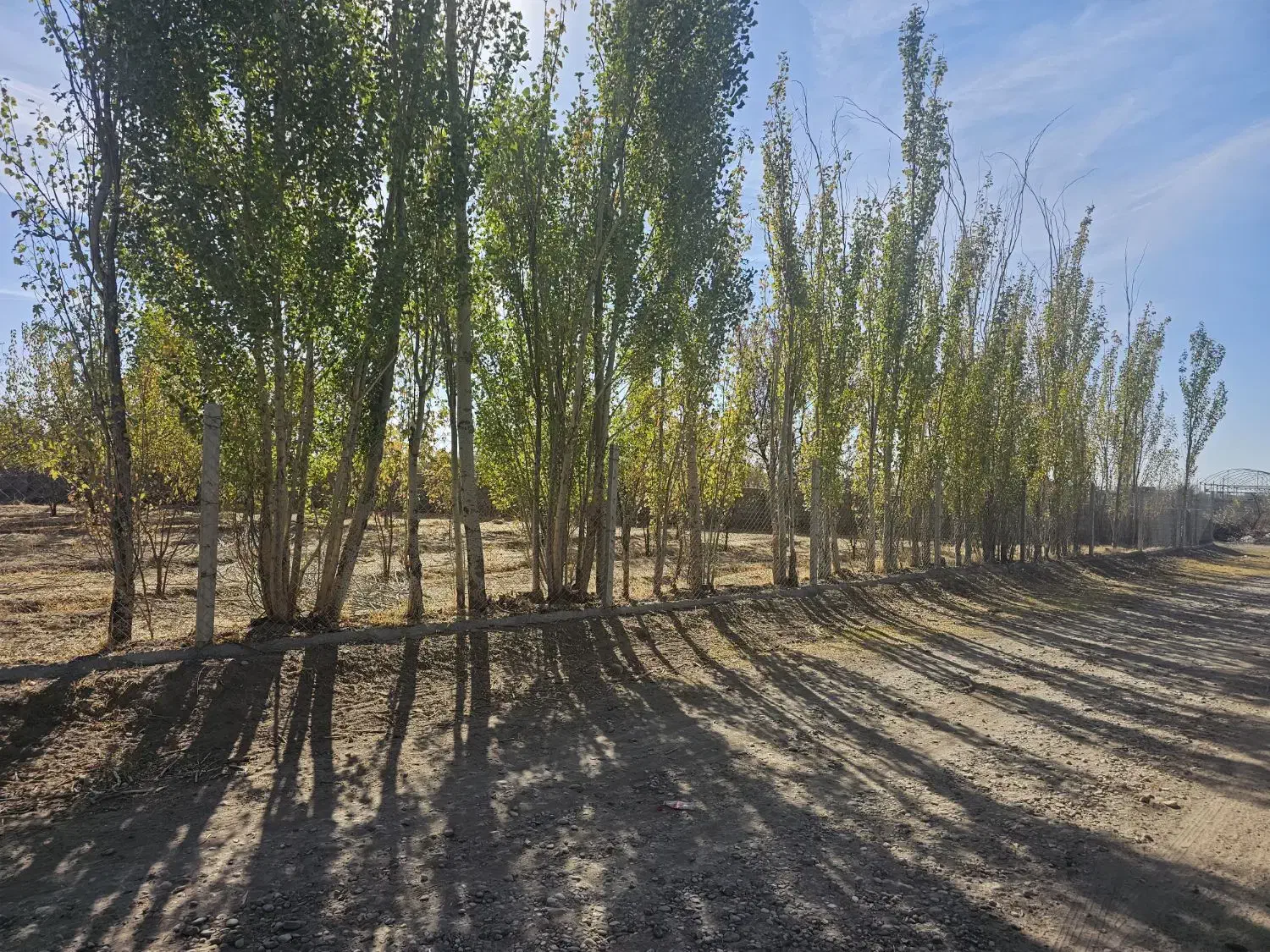 معاوضه و فروش باغ کشاورزی