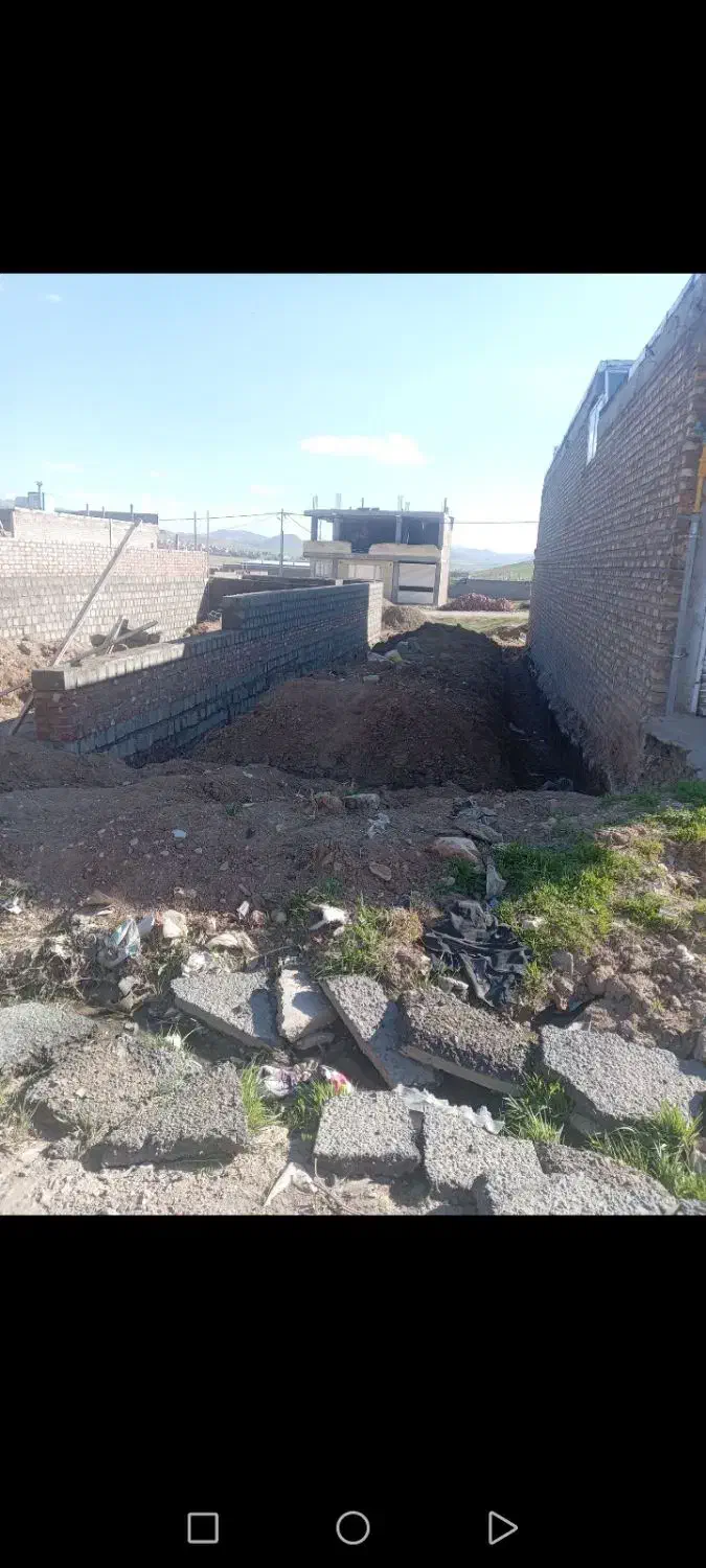 خاک در بازار حیوان