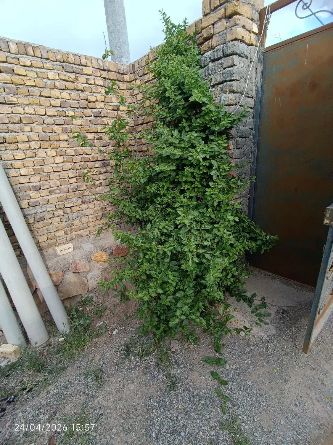 زمین نیم ساز