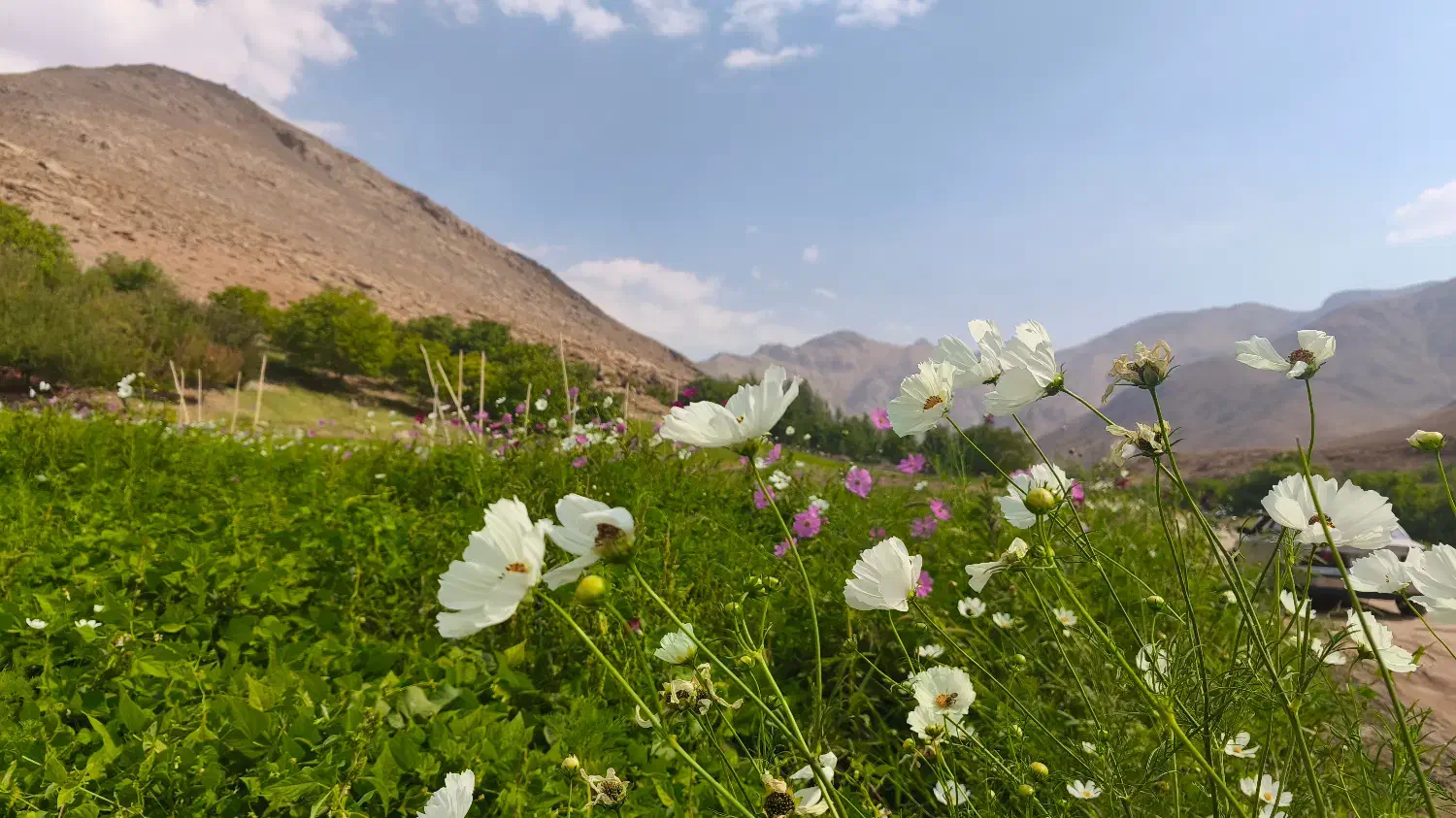 فروش زمین