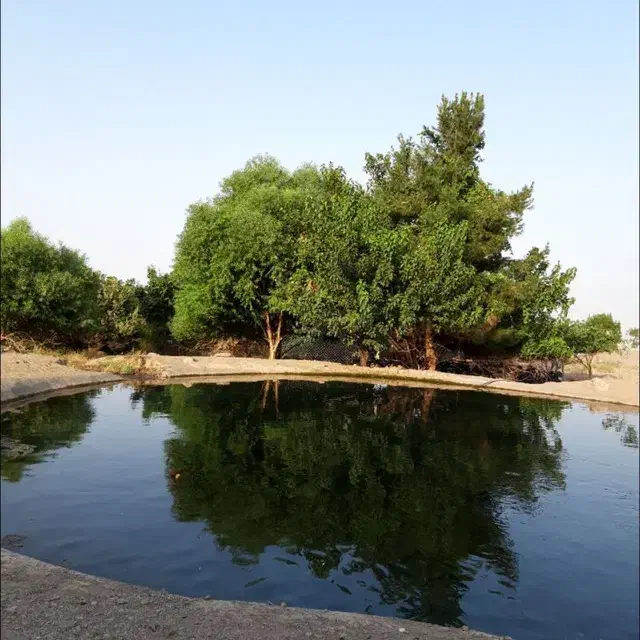 خانه فروشی مشکات