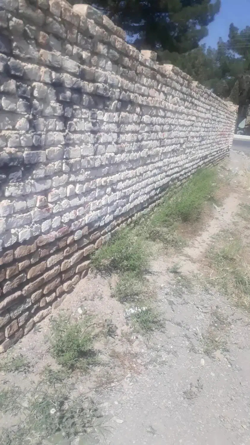 زمین تجاری