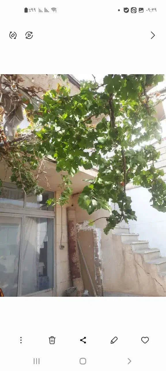 اجاره انبار یا دفترکار