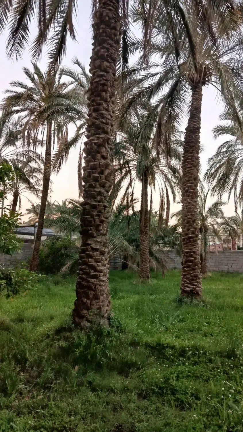 فروش باغ مرکز شهر
