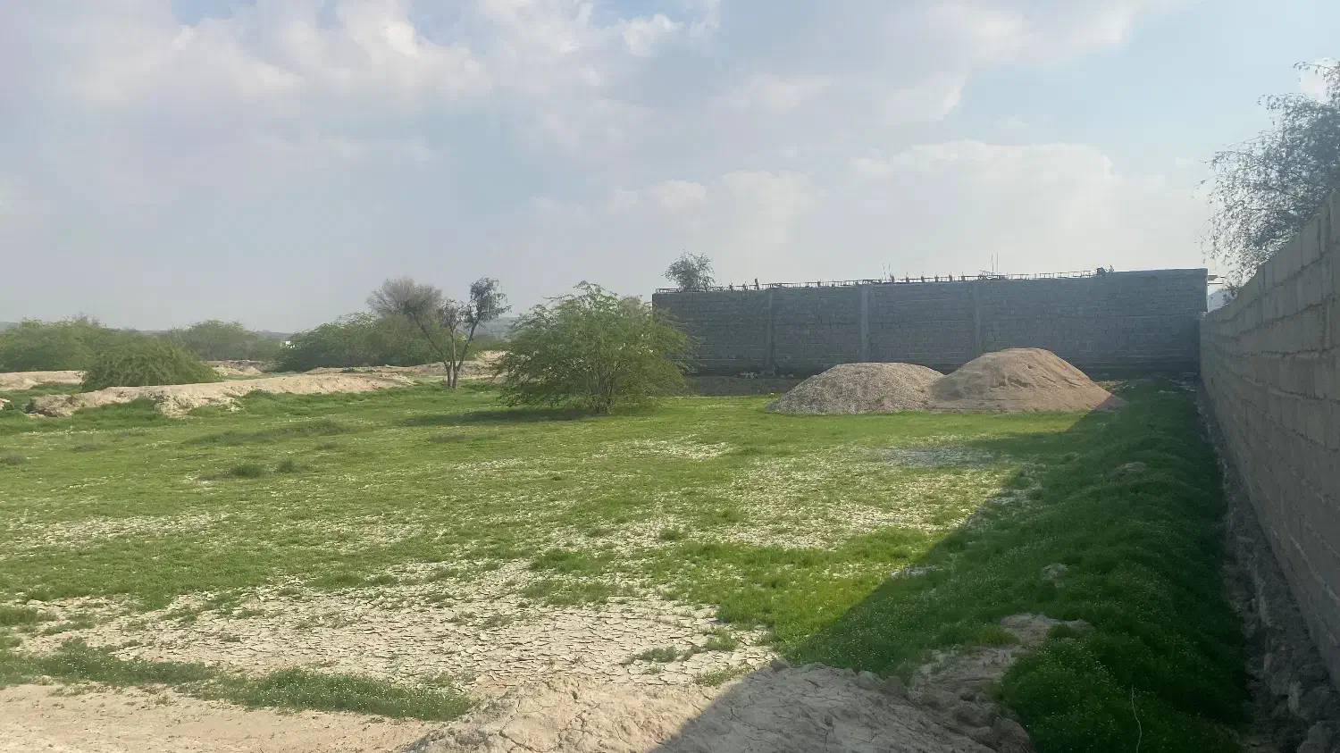 زمین گیاهدان پشت میوه تر بار