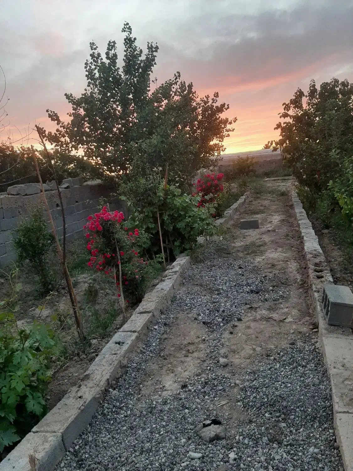 باغچه