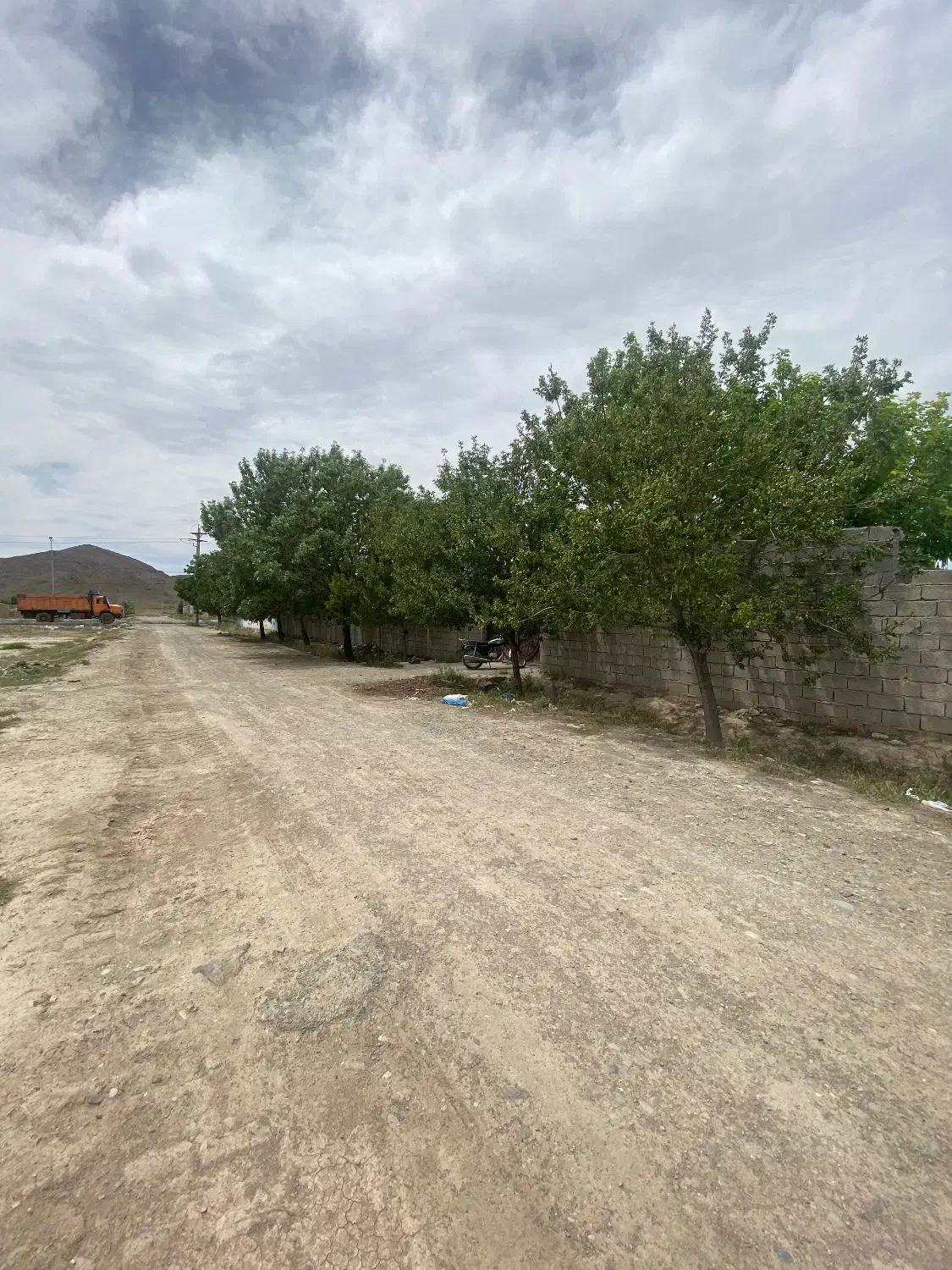 باغ ملارد بیدگنه تک برگ سند
