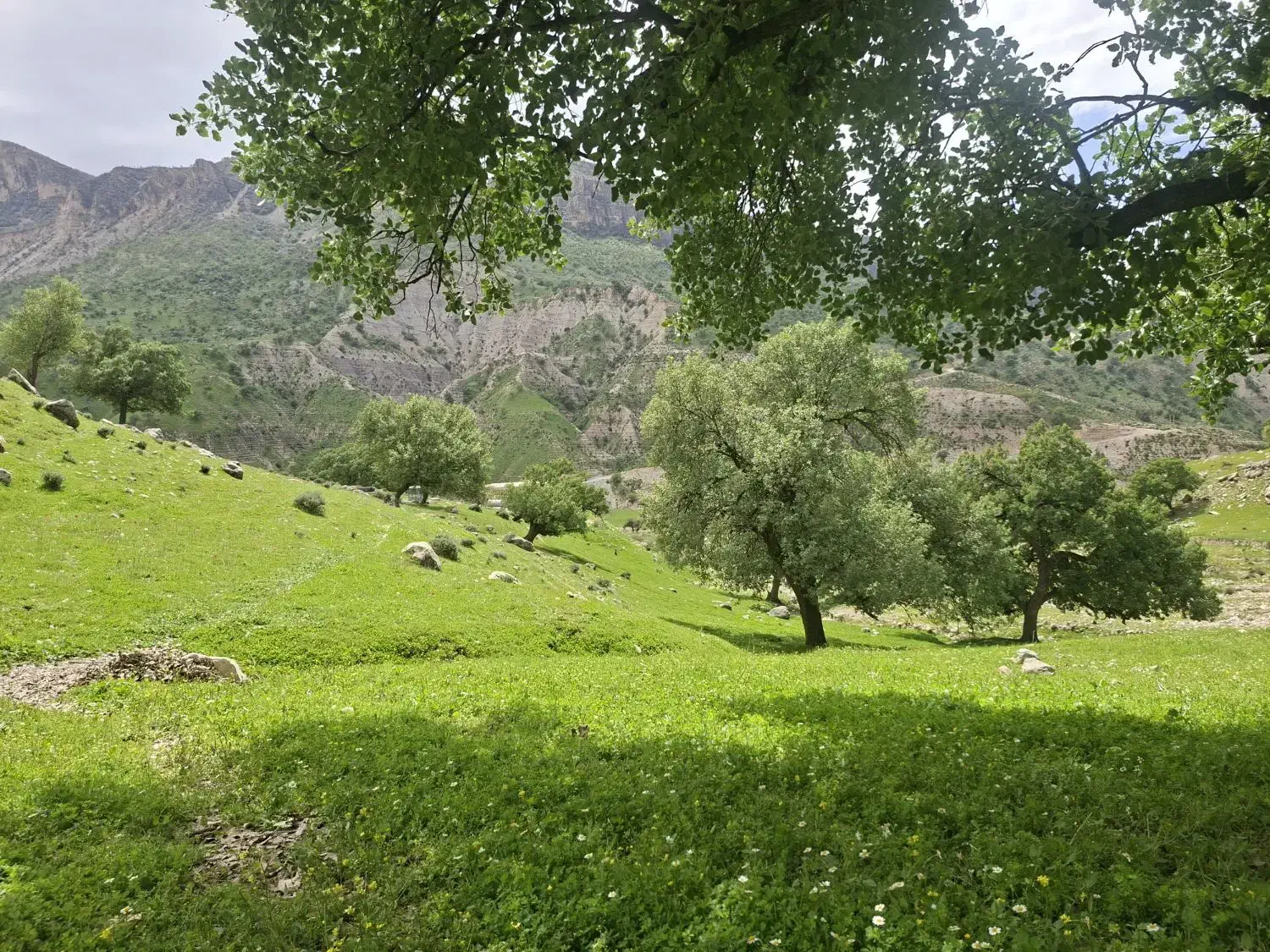 فروش زمین مسکونی رودریا