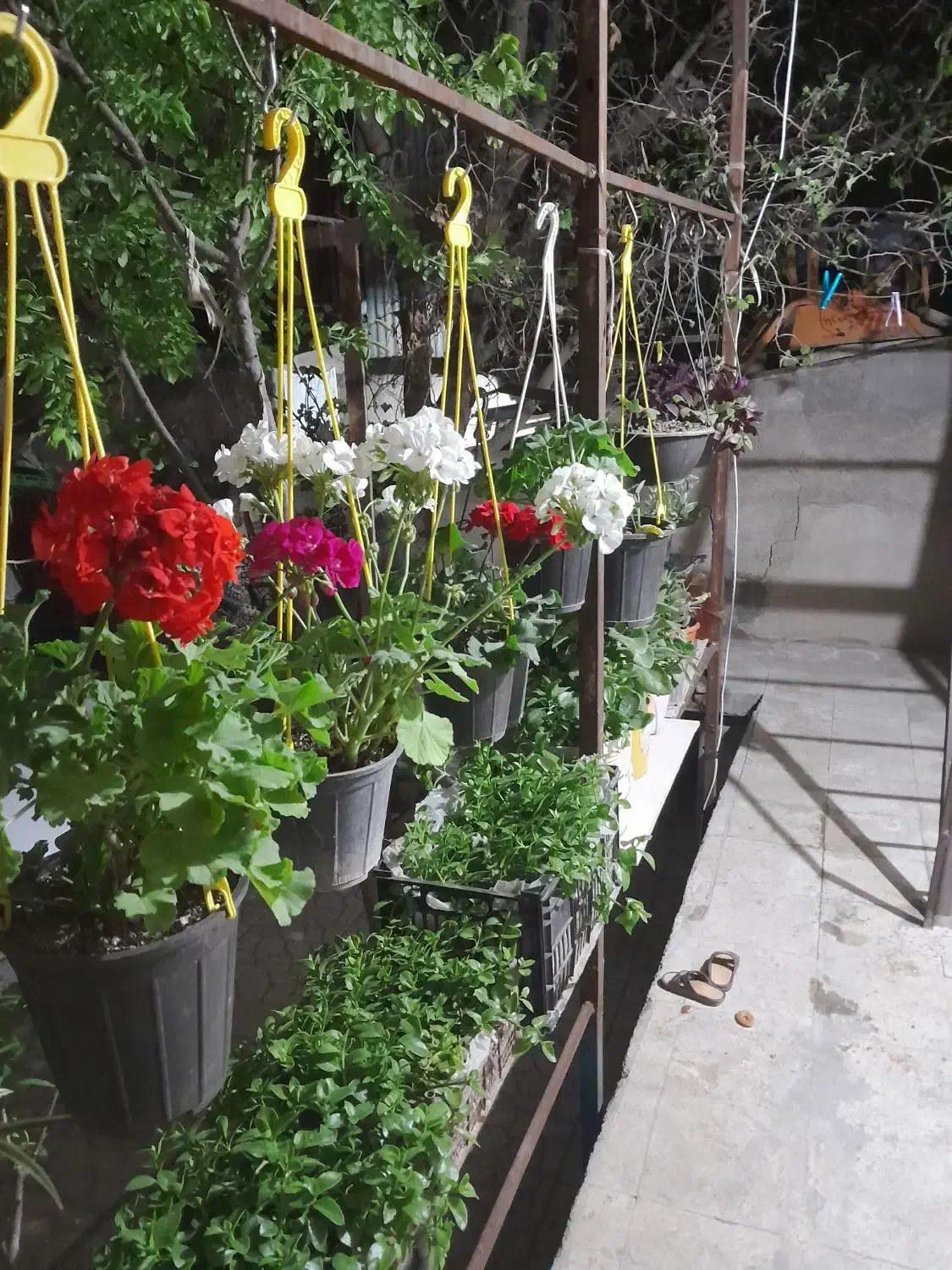 ۶۰متر  نیمه زیر زمین محمدشهر