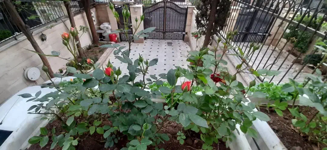اجاره آپارتمان