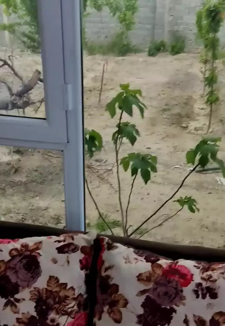 معاوضه باغ ویلا ۱۴۰۰متری شهریار با آپارتمان، کلنگی