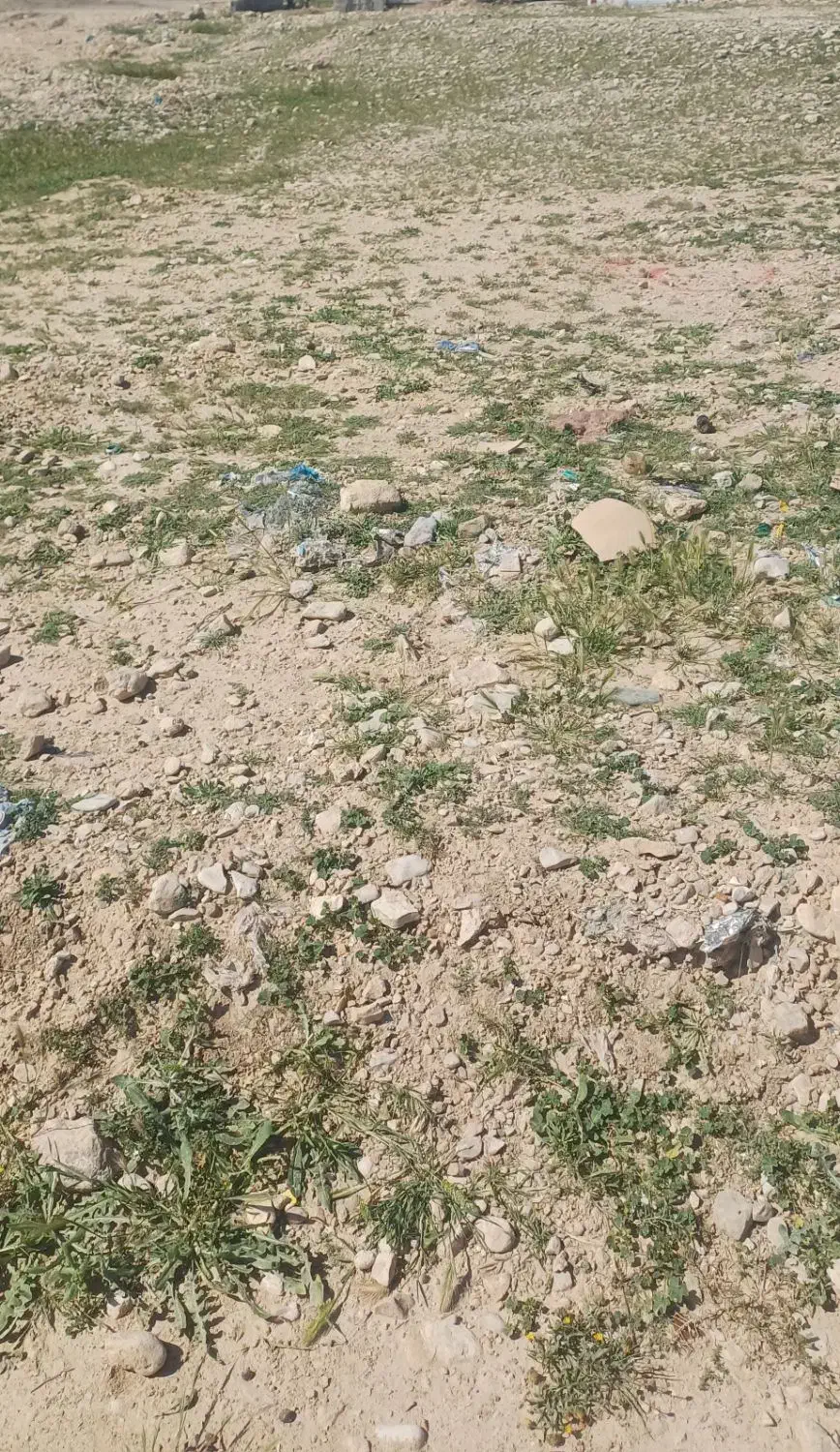 زمین مسکونی فرهنگیان جدید