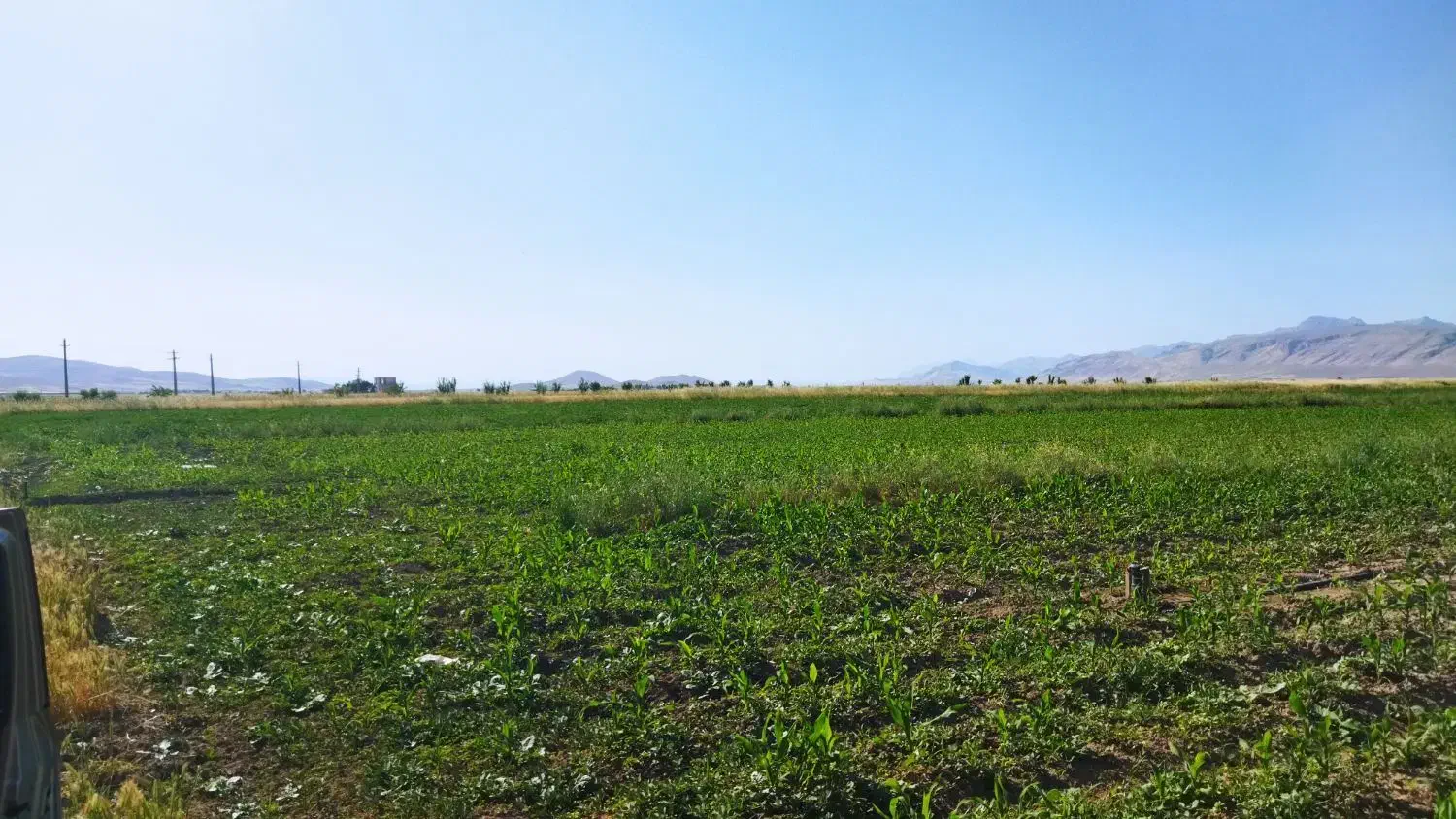 زمین کشاورزی
