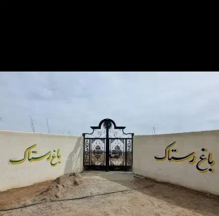 باغ انگور هزارمتری در تاکستان