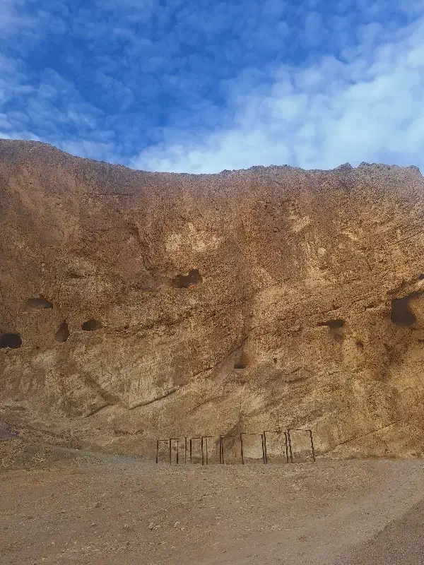 زمین یامغازه