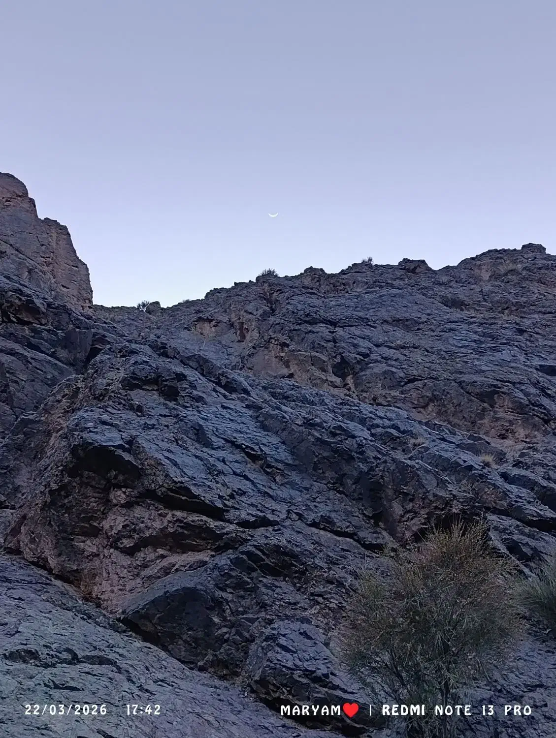 زمین فرهیختگان