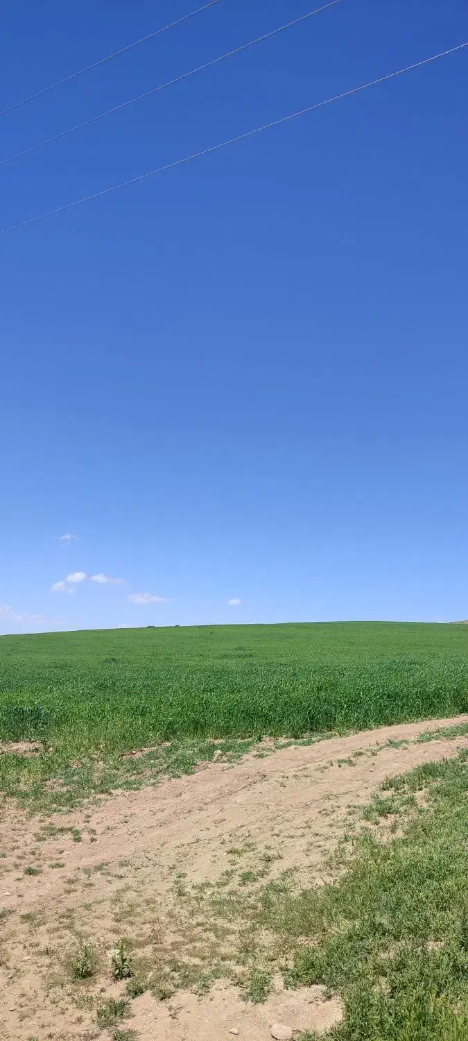 زمین خام خانه باغ یاسیکند