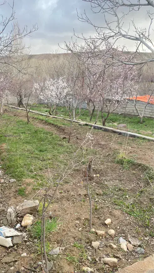 باغ *ویلایی *اسکو