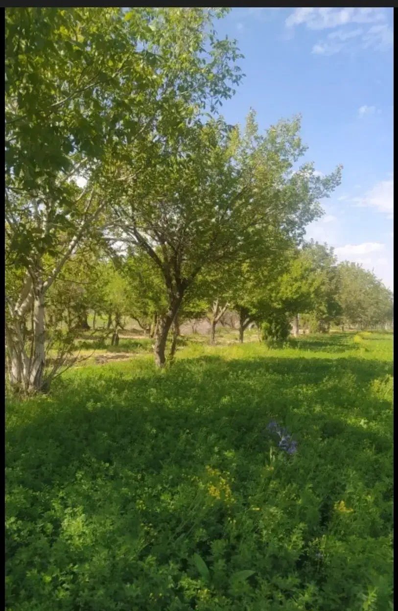 اجاره‌ی زمین کشاورزی