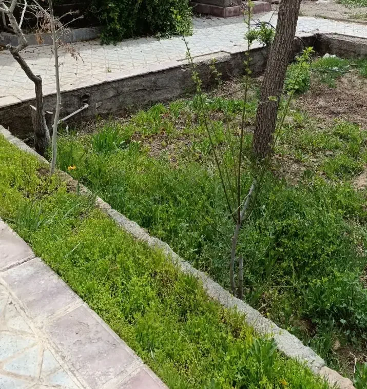 منزل ویلایی درشهر اسدیه