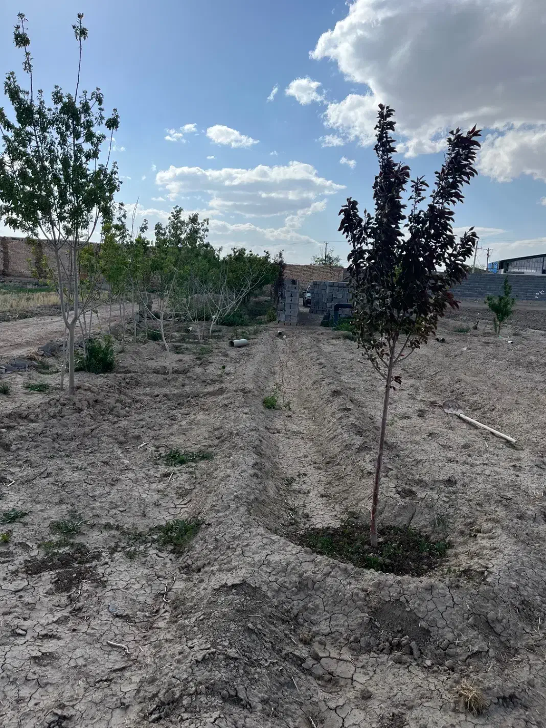 زمین باغی خاتون اباد