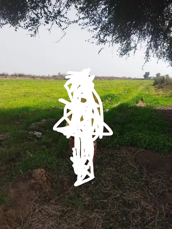 زمین کشاورزی3هکتار