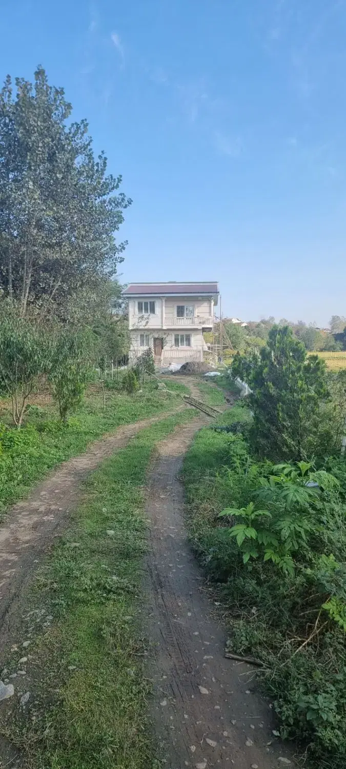 ویلای جنگلی نوساز