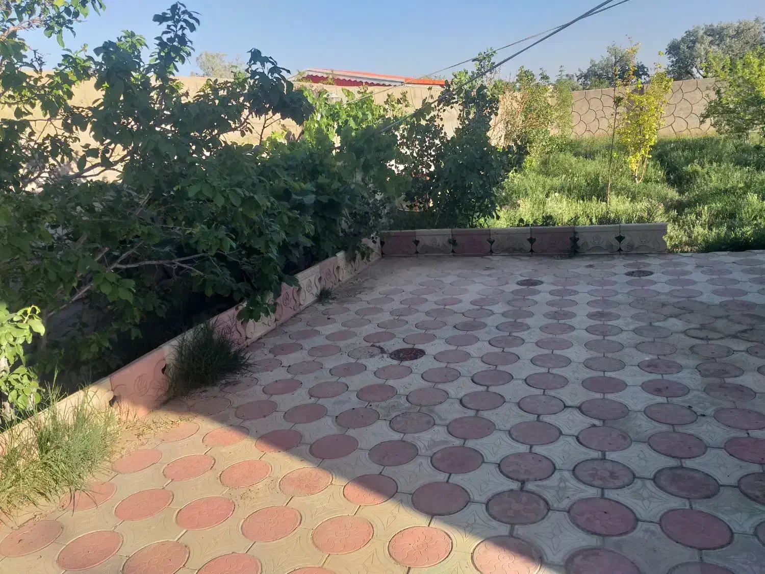 فروش باغ یا معاوضه