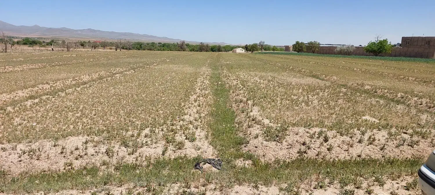 زمین باغی 5000 متر