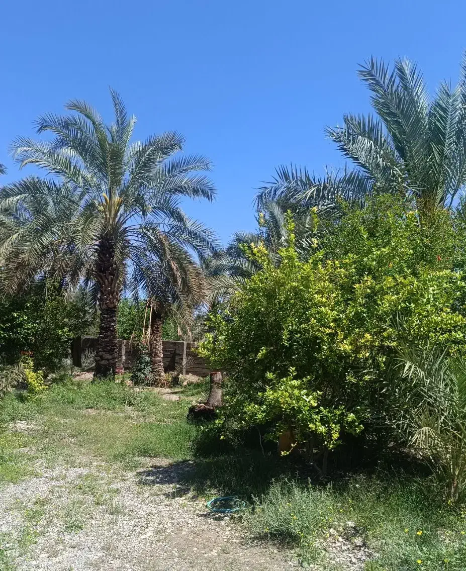 اجاره ویلایی