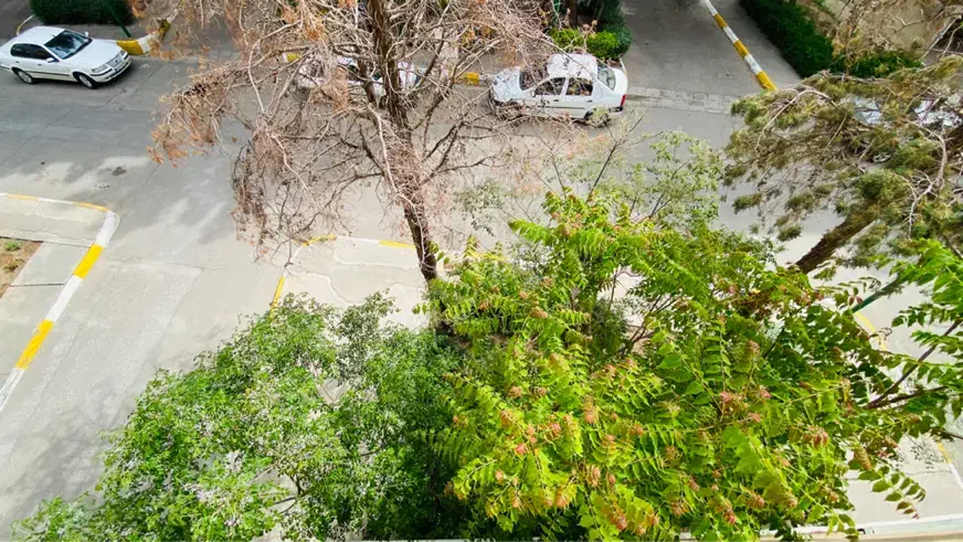 مارلیک آپارتمان ۳ خواب
