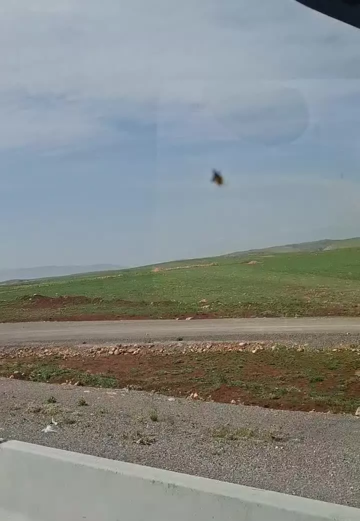زمین مسکونی گورک کله بندی