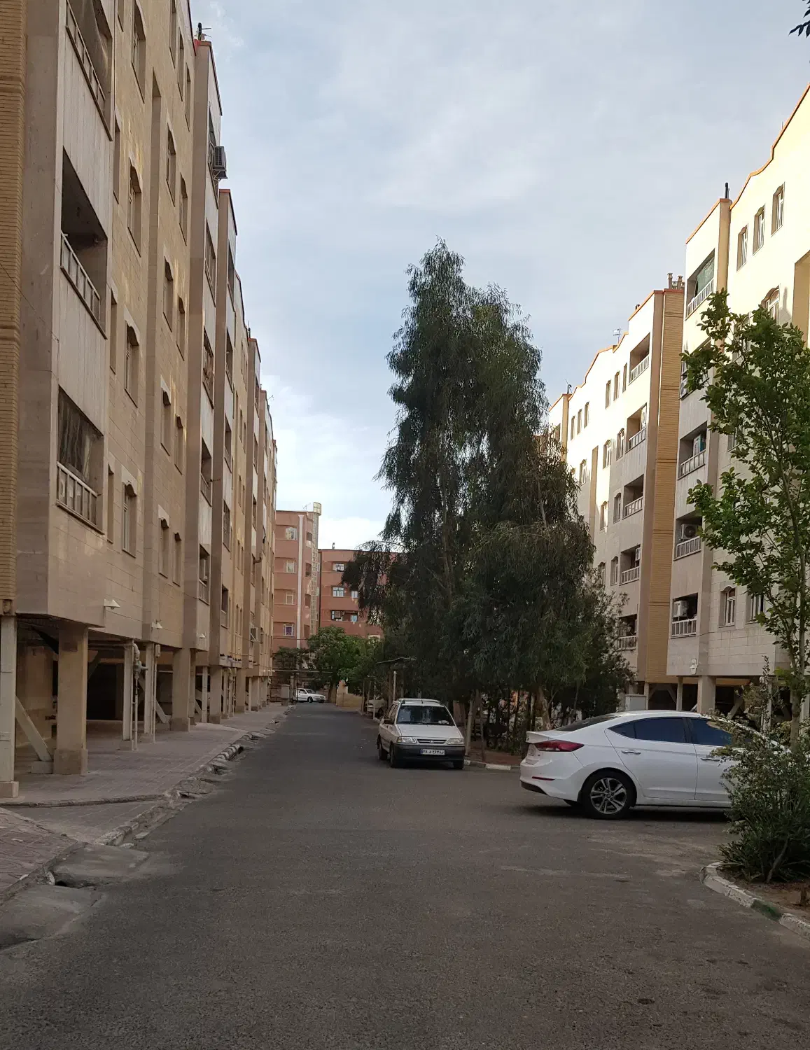 واحد خوش نقشه و دلباز پردیسان