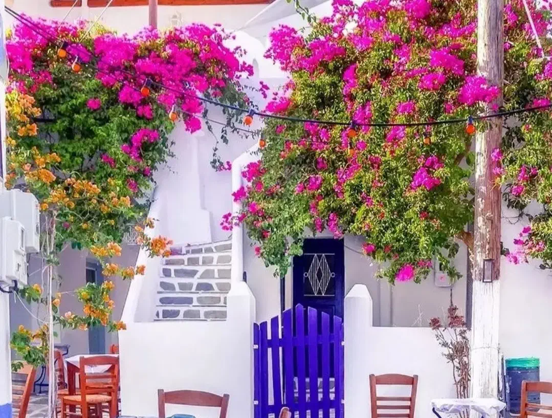 اجاره  دو طبقه دربست در دولتخواه جنوبی