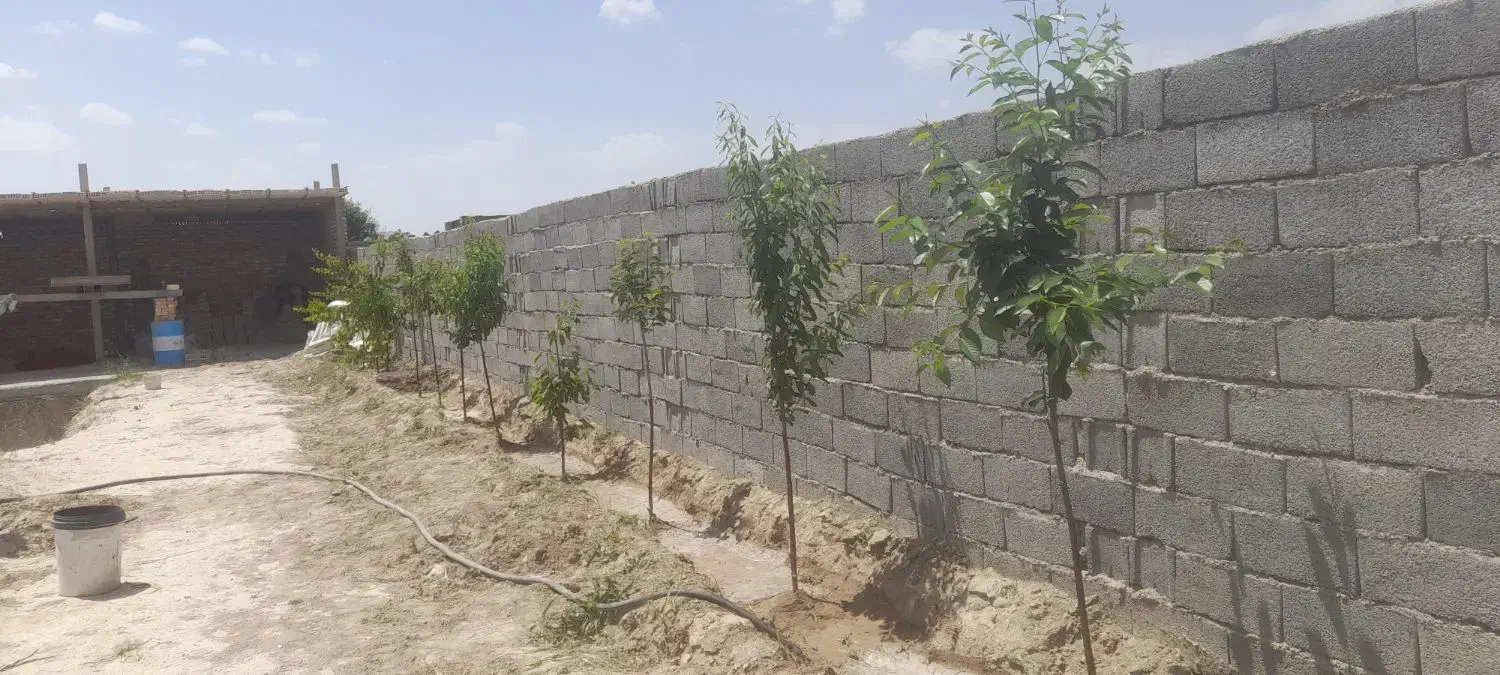 باغ حصار مهتر ۳۱۸متر