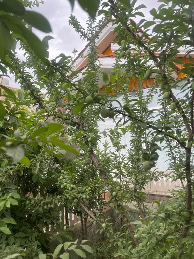 خانه باغ مهریز