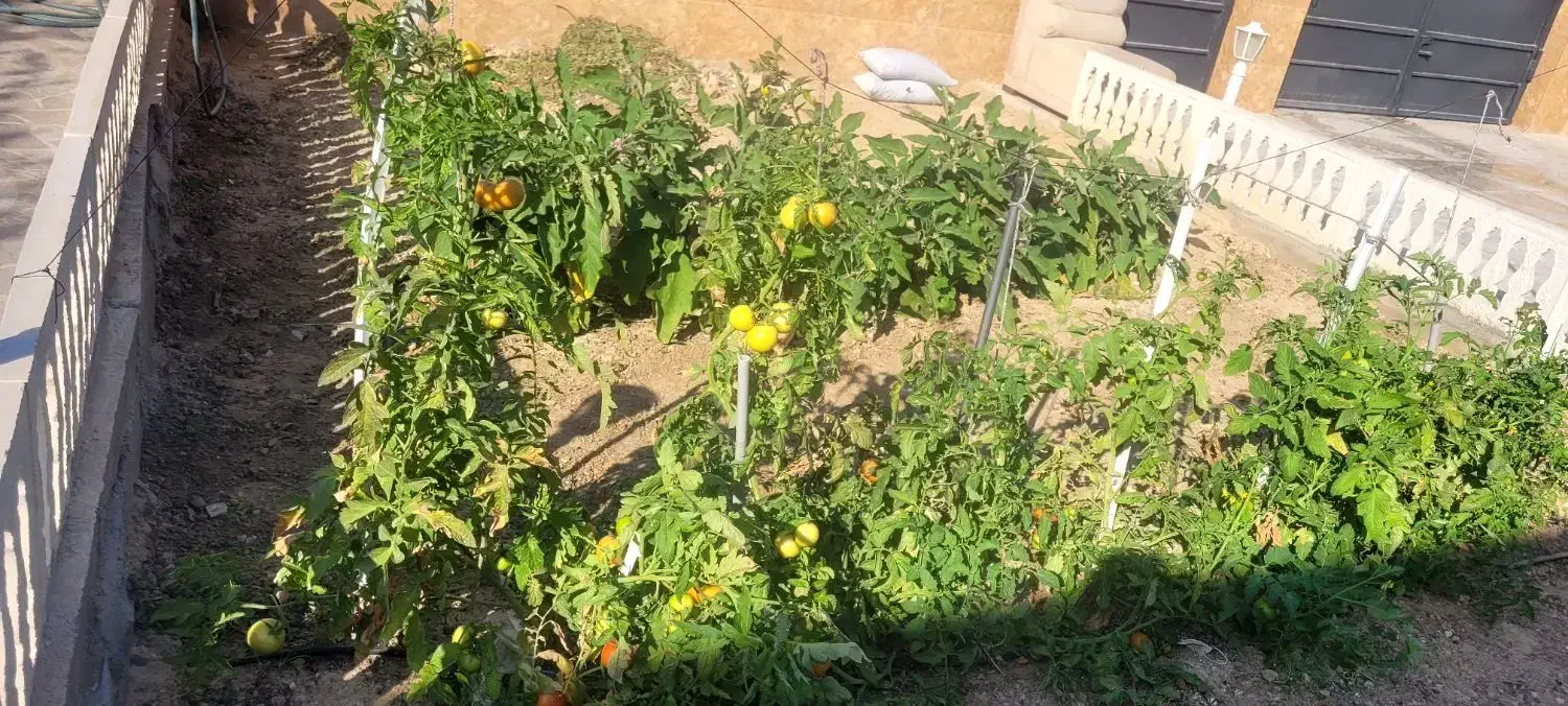 فرهنگیان خورموج