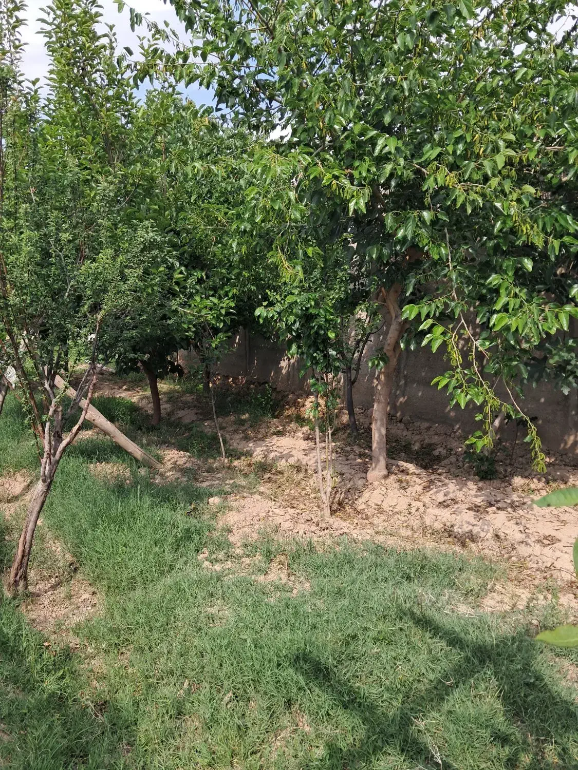 فروش زمین