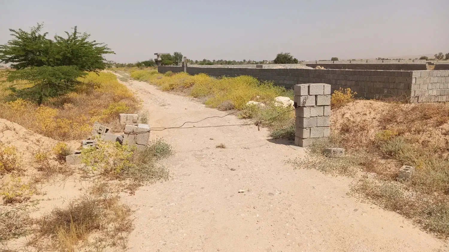 فروش باغ
