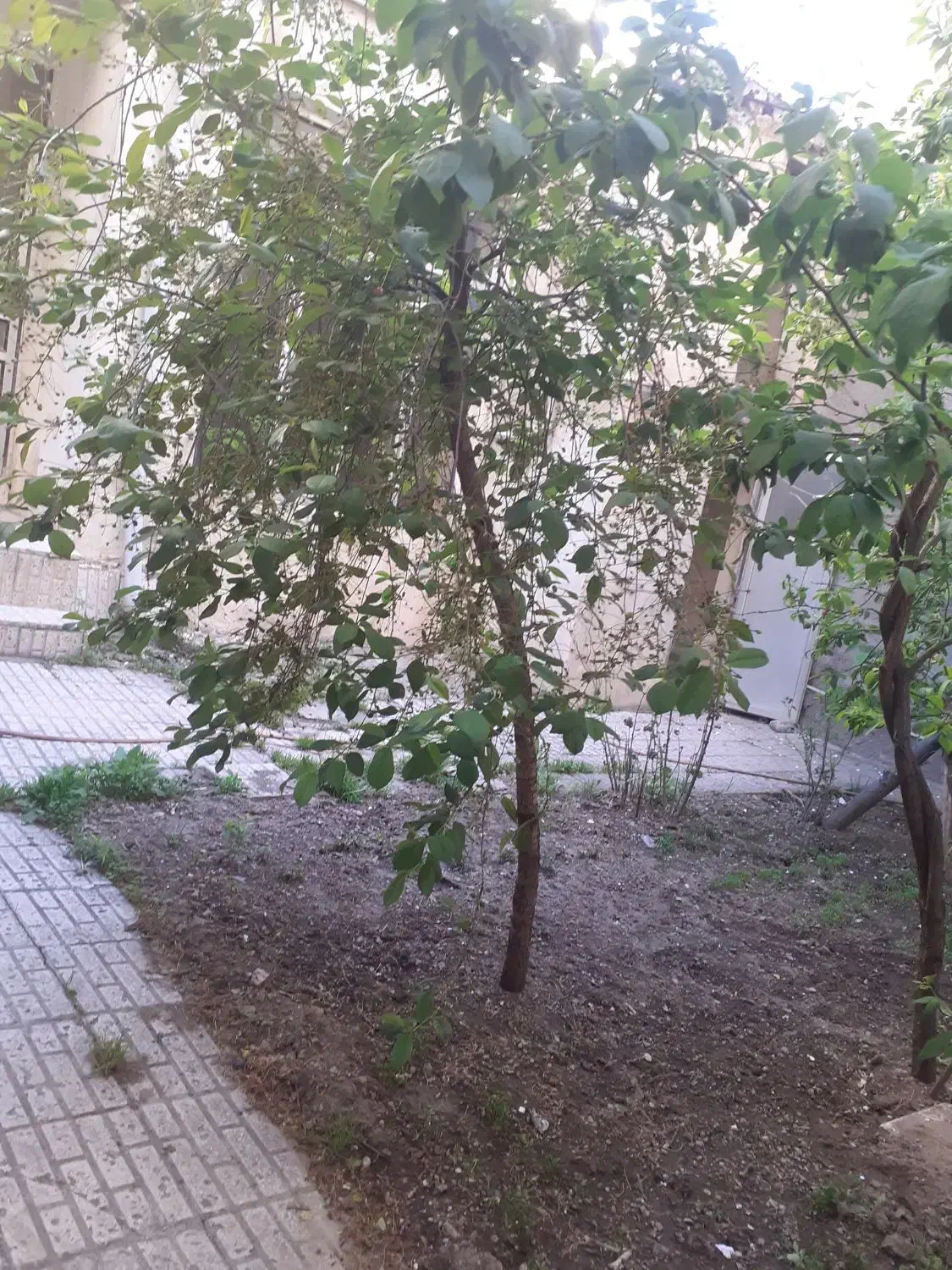 اگهی منزل برای انباری کارگاه  محصولات سالم
