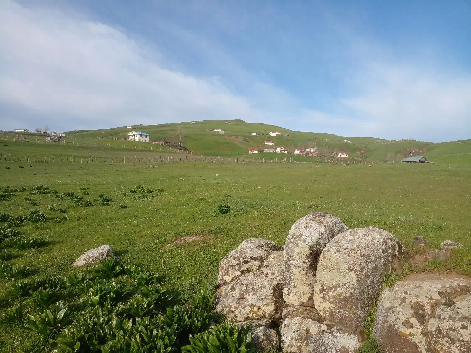 زمین