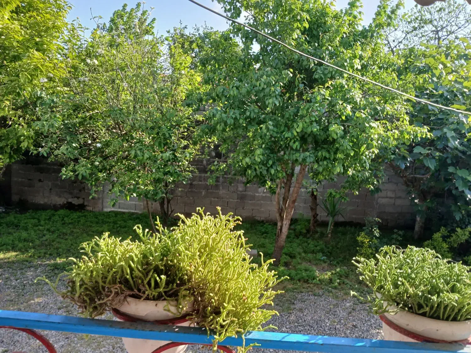 فروش خانه سنتی در منطقه آزاد _سند تک برگ