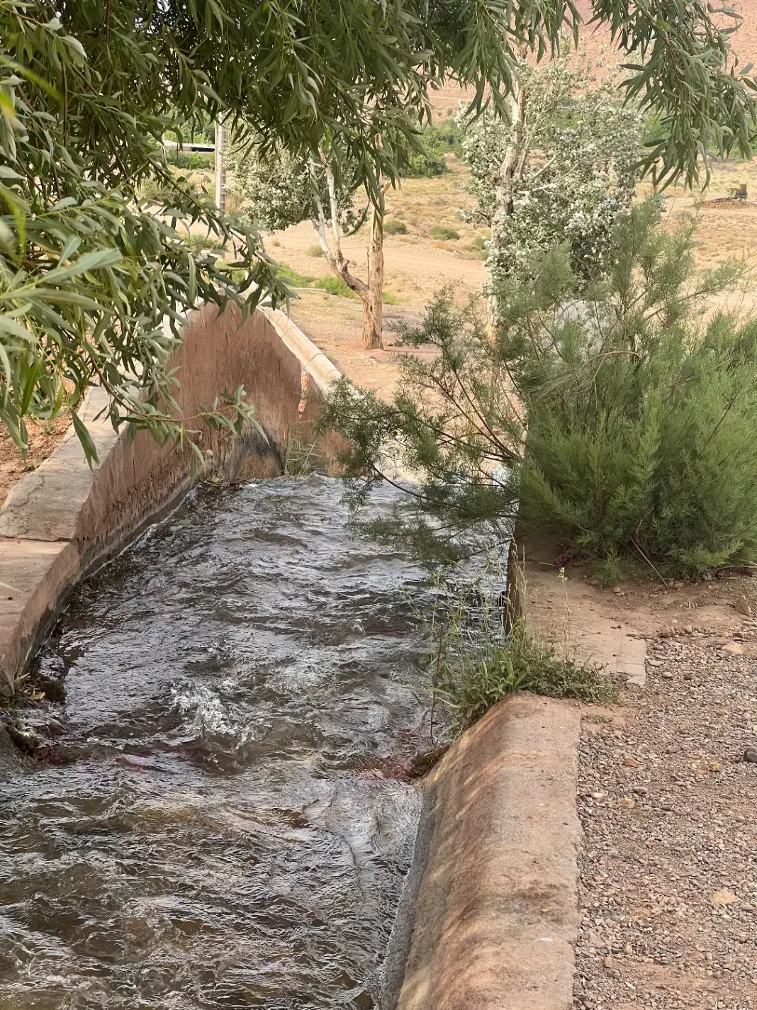 زمین  ساردو درب بهشت ۲۵قصب خیابان درمانگاه