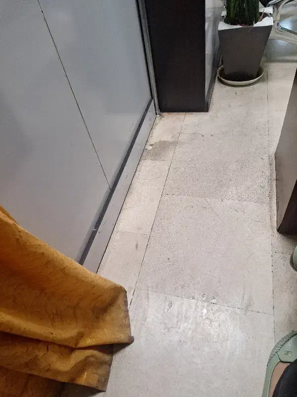 هم خونه خانم ترجیح مجرد کارمند باشه