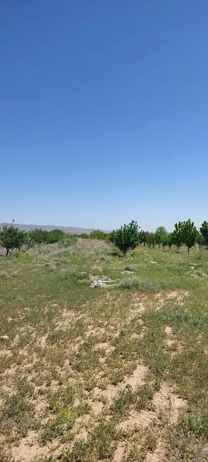 باغ 12000 متری