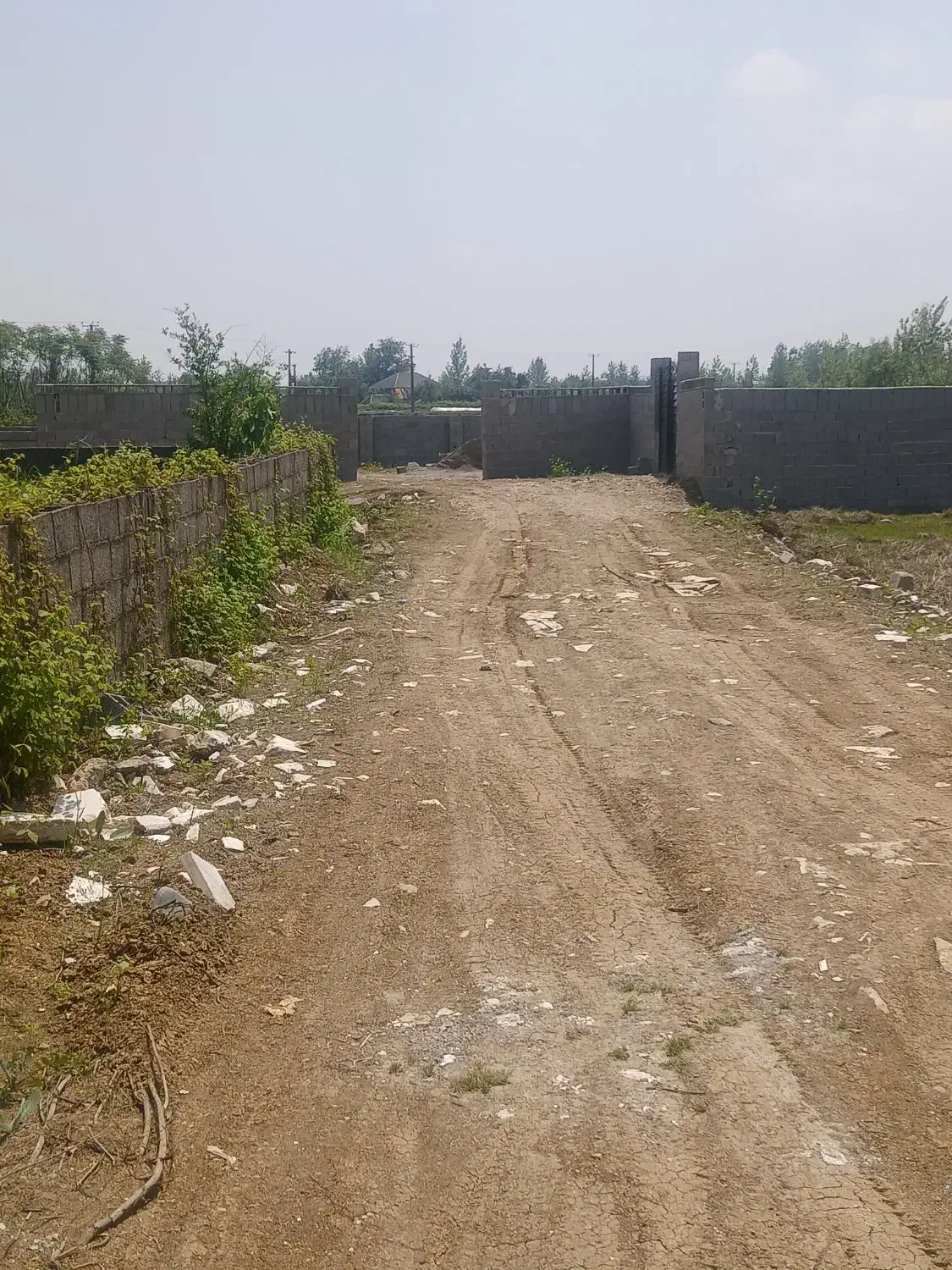 زمین باکاربری مسکونی ۲۹۰متر