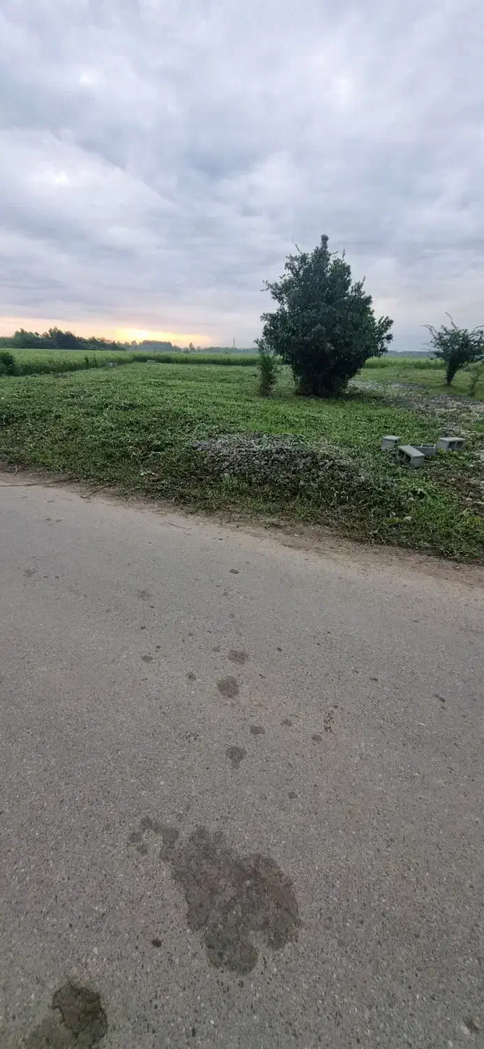 زمین ۲۸۷ متری سند تک برگ و پروانه ساخت